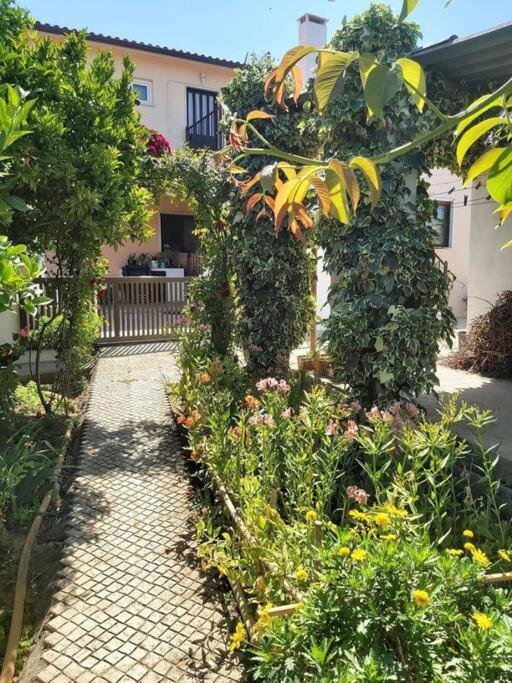 トマールCasa Alegria - The Orangeryアパートメント エクステリア 写真